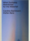 What Duchamp Abandoned for the Waterfall - Book