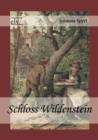 Schloss Wildenstein - Book