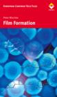 Film Formation in Modern Paint Systems - Book
