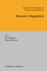 Brussels I Regulation - eBook