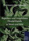 Reptilien Und Amphibien Deutschlands in Wort Und Bild - Book