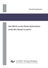 Size Effects on the Plastic Deformation of the BCC-Metals Ta and Fe - Book