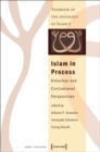 Islam in Process : Historical and Civilizational Perspectives (Yearbook of the Sociology of Islam 7) - Book
