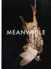 Shirana Shahbazi : Meanwhile - Book