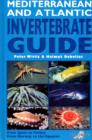 Mediterranean and Atlantic Invertebrate Guide : From Spain to Turkey, from Norway to the Equator - Book