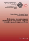 Elektronische UEberwachung von Straffalligen im europaischen Vergleich - Bestandsaufnahme und Perspektiven - Book