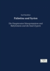 Palastina und Syrien : Die Hauptrouten Mesopotamiens und Babyloniens und die Insel Zypern - Book