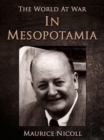 In Mesopotamia - eBook