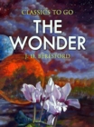 The Wonder - eBook