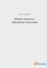 Wilhelm Gesenius` Hebraische Grammatik - Book