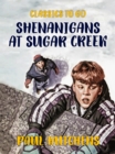 Shenanigans at Sugar Creek - eBook