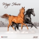 MAGIC HORSES 2021 - Book