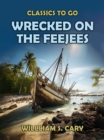 Wrecked on the Feejees - eBook