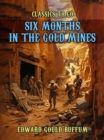 Six Months in the Gold Mines - eBook