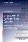 Visualization of Hydrogen-Bond Dynamics : Water-Based Model Systems on a Cu(110) Surface - eBook
