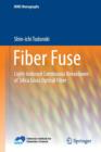 Fiber Fuse : Light-Induced Continuous Breakdown of Silica Glass Optical Fiber - Book