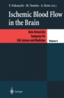 Ischemic Blood Flow in the Brain - eBook