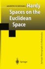 Hardy Spaces on the Euclidean Space - eBook
