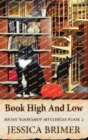 Book High And Low - Book