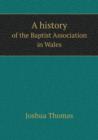 A History of the Baptist Association in Wales - Book