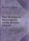 The Hemiptera Heteroptera of the British Islands - Book