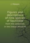Figures and Descriptions of Nine Species of Squillidae from the Collection in the Indian Museum - Book