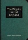The Pilgrim in Old England - Book