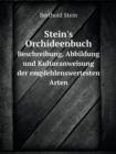 Stein's Orchideenbuch Beschreibung, Abbildung Und Kulturanweisung Der Empfehlenswertesten Arten - Book