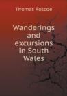 Wanderings and Excursions in South Wales - Book