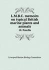 L.M.B.C. Memoirs on Typical British Marine Plants and Animals 10. Patella - Book