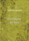 Germany at Bay - Book
