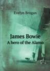 James Bowie a Hero of the Alamo - Book
