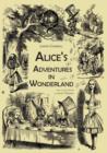 Alice's Adventures in Wonderland (an Illustrated Collection of Classic Books) - Book
