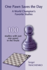 One Pawn Saves the Day: A World Champion's Favorite Studies - Book