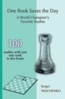 One Rook Saves the Day: A World Champion's Favorite Studies - Book