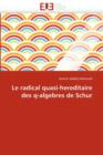 Le Radical Quasi-Hereditaire Des Q-Algebres de Schur - Book