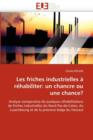 Les Friches Industrielles   R habiliter : Un Chancre Ou Une Chance? - Book