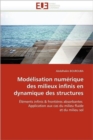 Mod lisation Num rique Des Milieux Infinis En Dynamique Des Structures - Book