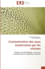 Contamination Des Eaux Souterraines Par Les Nitrates - Book