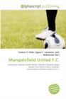 Mangotsfield United F.C. - Book