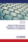Impact of the domain structure in ferroelectric substrate on graphene - Book