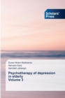 Psychotherapy of depression in elderly Volume 3 - Book