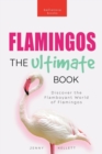 Flamingos : Discover the Flamboyant World of Flamingos - Book