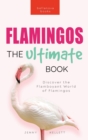 Flamingos The Ultimate Book : Discover the Flamboyant World of Flamingos - Book