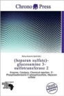 (Heparan Sulfate)-Glucosamine 3-Sulfotransferase 2 - Book