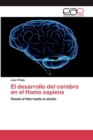 El desarrollo del cerebro en el Homo sapiens - Book