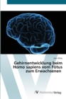 Gehirnentwicklung beim Homo sapiens vom Fotus zum Erwachsenen - Book