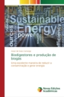 Biodigestores e producao de biogas - Book