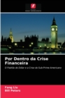 Por Dentro da Crise Financeira - Book