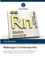 Radongas in Innenraumen - Book